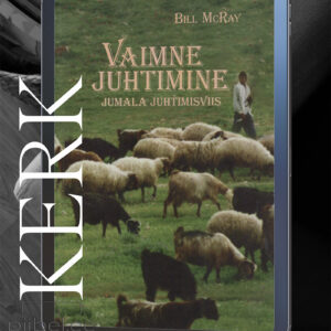 vaimne juhtimine: Jumala juhtimisviis - Bill McRay - E-raamat